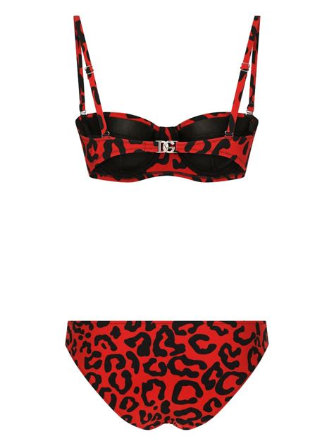 dolce e gabbana leopard bikini